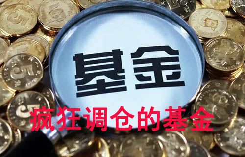 1655271826820013.jpg 疯狂调仓的基金.jpg